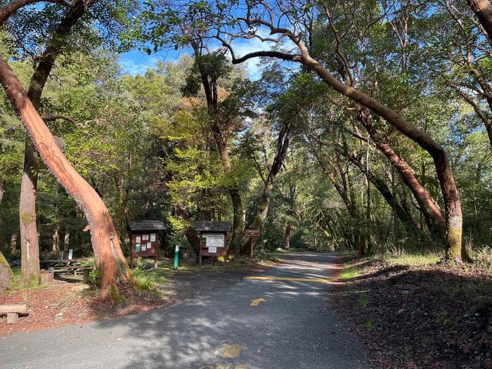 BOISE CREEK campground in California
