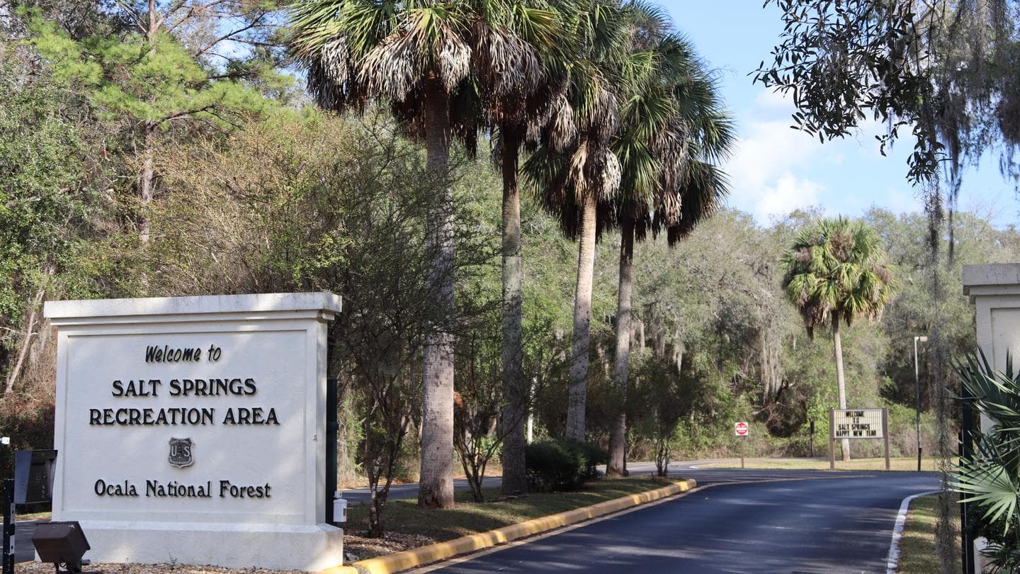 SALT SPRINGS RECREATION AREA campground in Florida