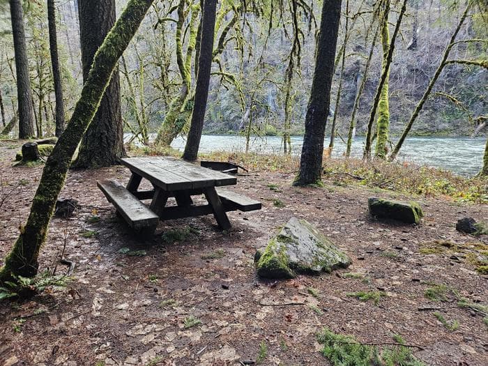 Island Campground in Oregon