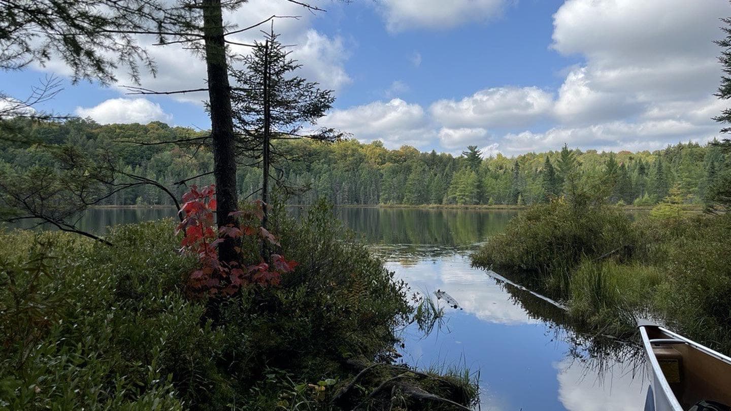SYLVANIA WILDERNESS BACKCOUNTRY CAMPING campground in Michigan