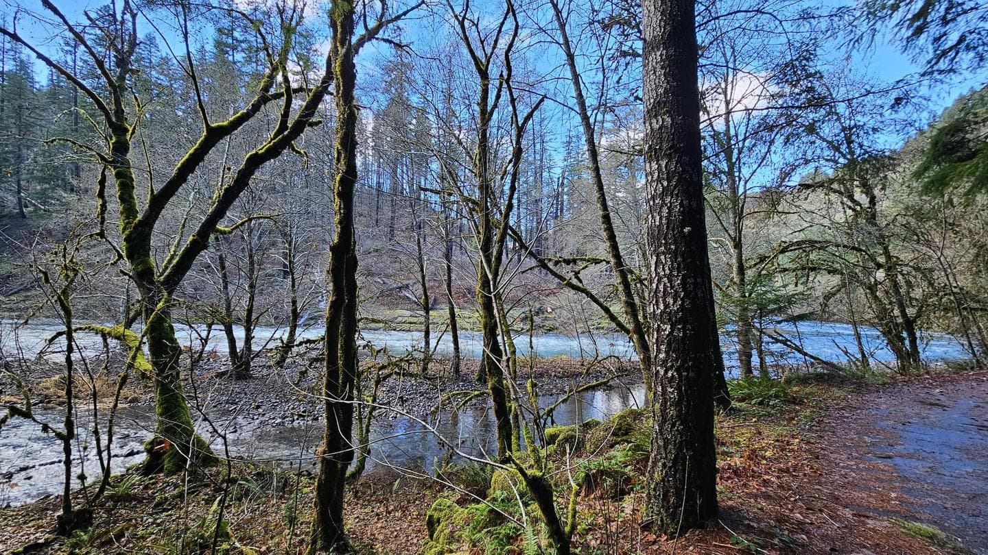 Umpqua Off-Season Campgrounds campground in Oregon