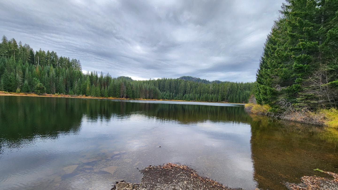 Hemlock Meadows Campground in Oregon