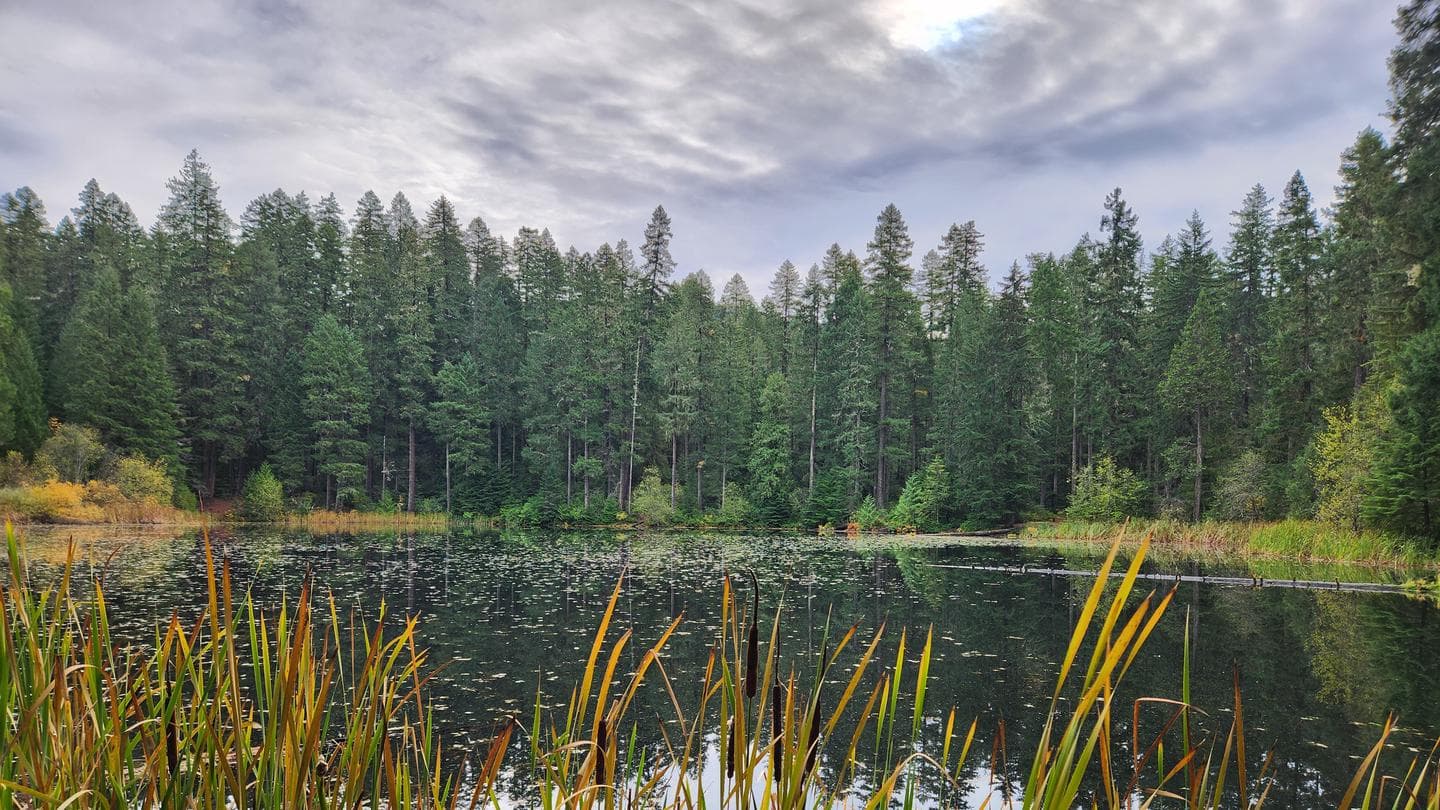 Lake In The Woods Campground in Oregon