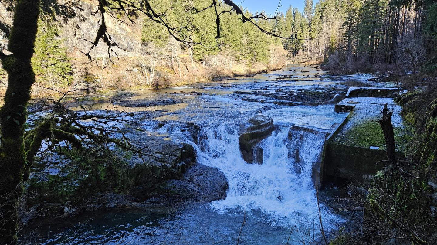 Steamboat Falls Campground in Oregon