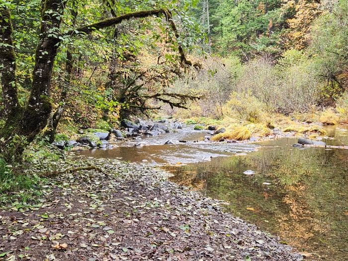 White Creek Campground in Oregon