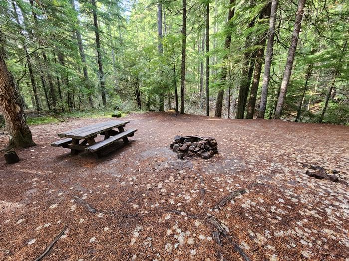 Whitehorse Falls Campground in Oregon