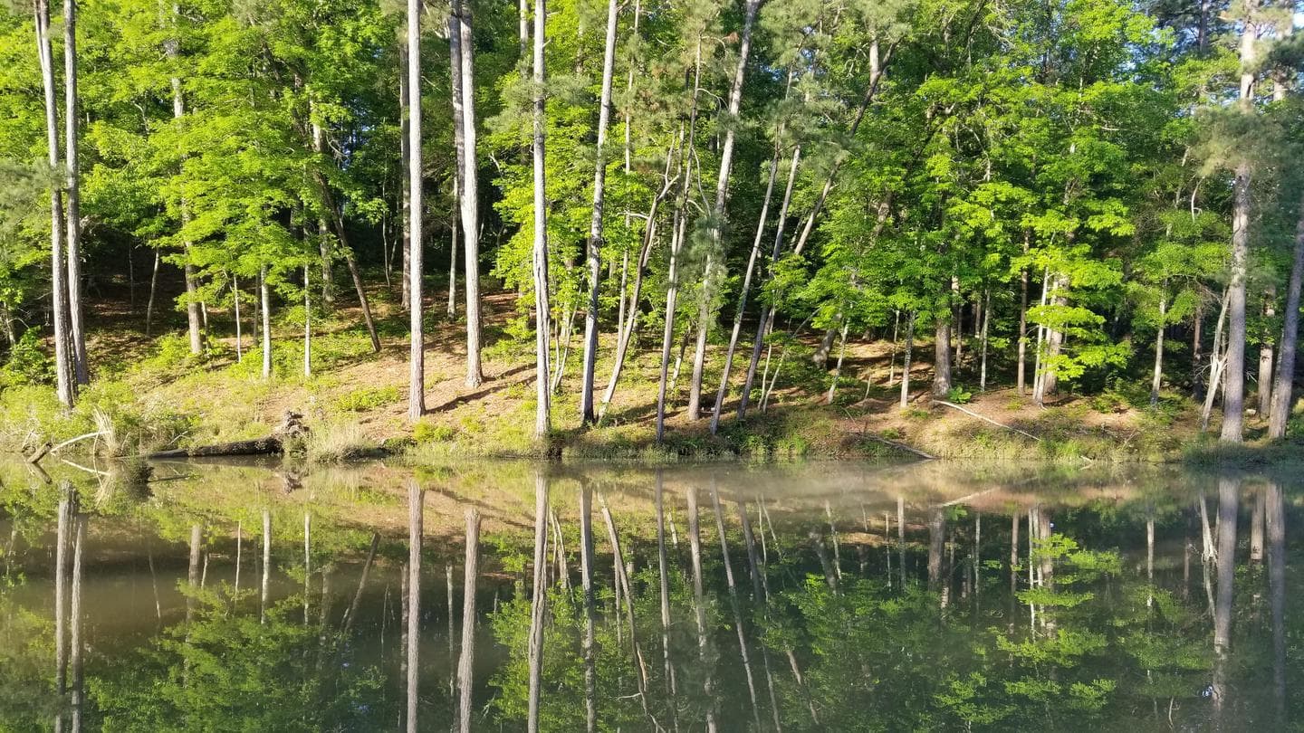Clear Springs Recreation Area (MS) campground in Mississippi