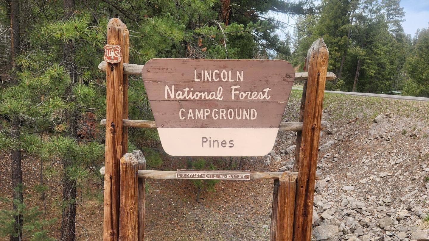 Pines Campground in New Mexico