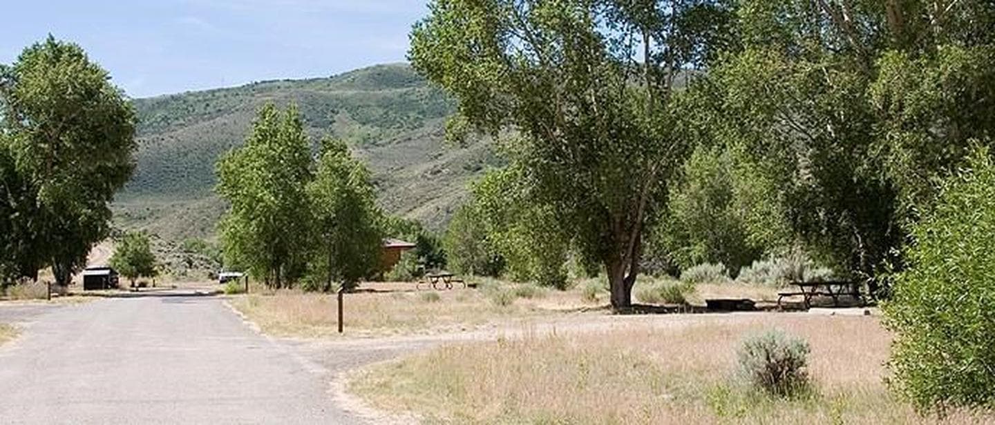Cimarron Campground (Co)
