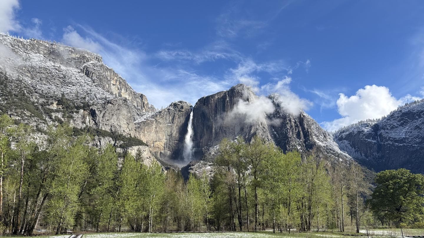 Bridalveil Creek Horse Campsites in California