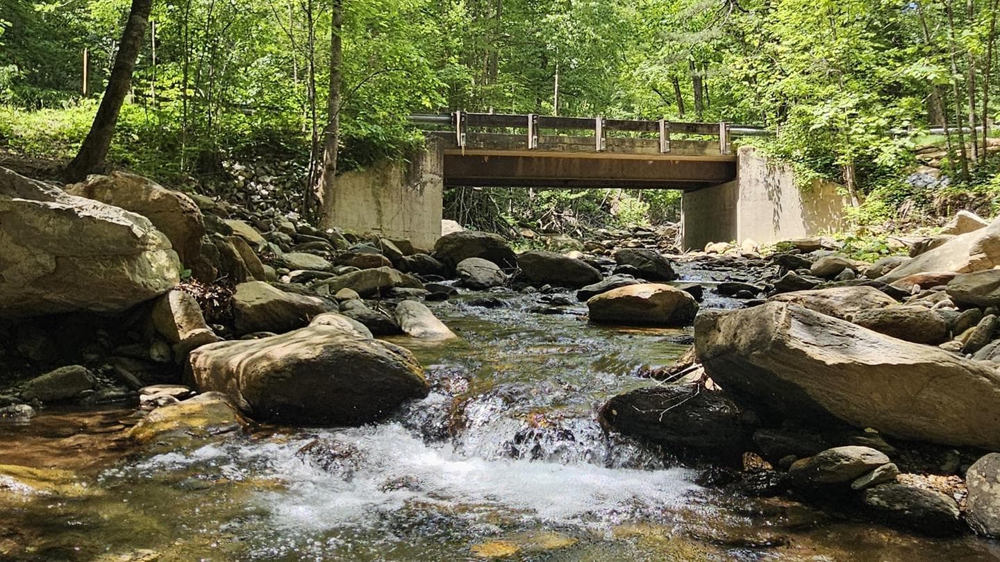 CURTIS CREEK CAMPGROUND (NC) campground in North Carolina
