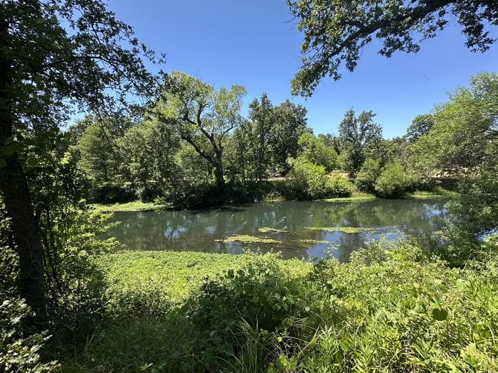 Reading Island Group Campground in California