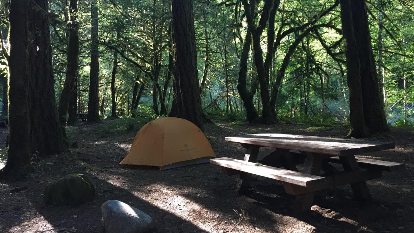 Rock Creek Campground (Rogue River Siskiyou) in Oregon