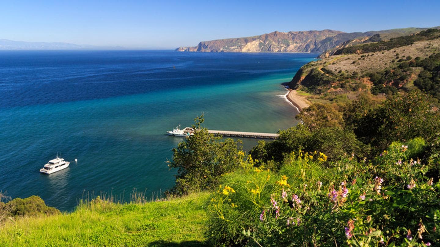 Santa Cruz Island Prisoners Harbor Campground in California