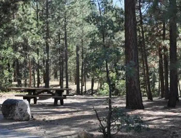 SAN GORGONIO campground in California