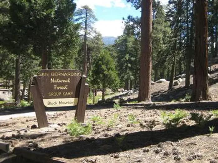 BLACK MOUNTAIN (SAN BERNARDINO) campground in California