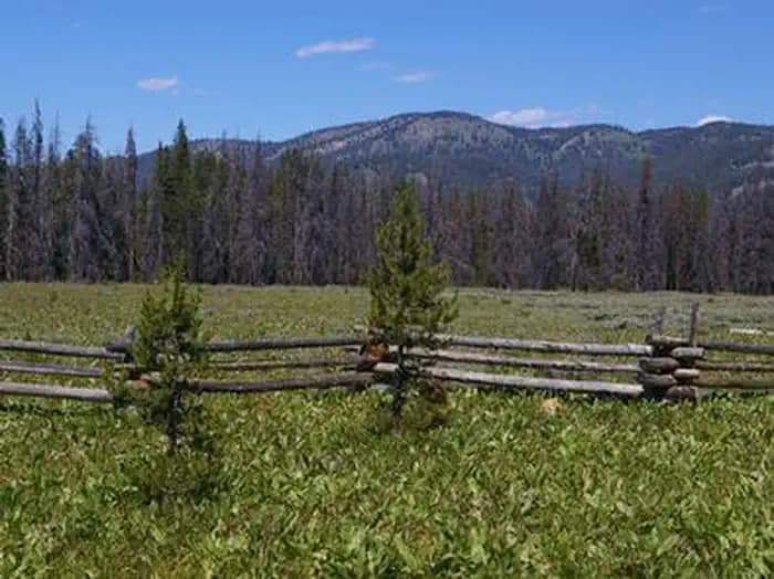 ELK CREEK CAMPGROUND (SAWTOOTH NF) campground in Idaho