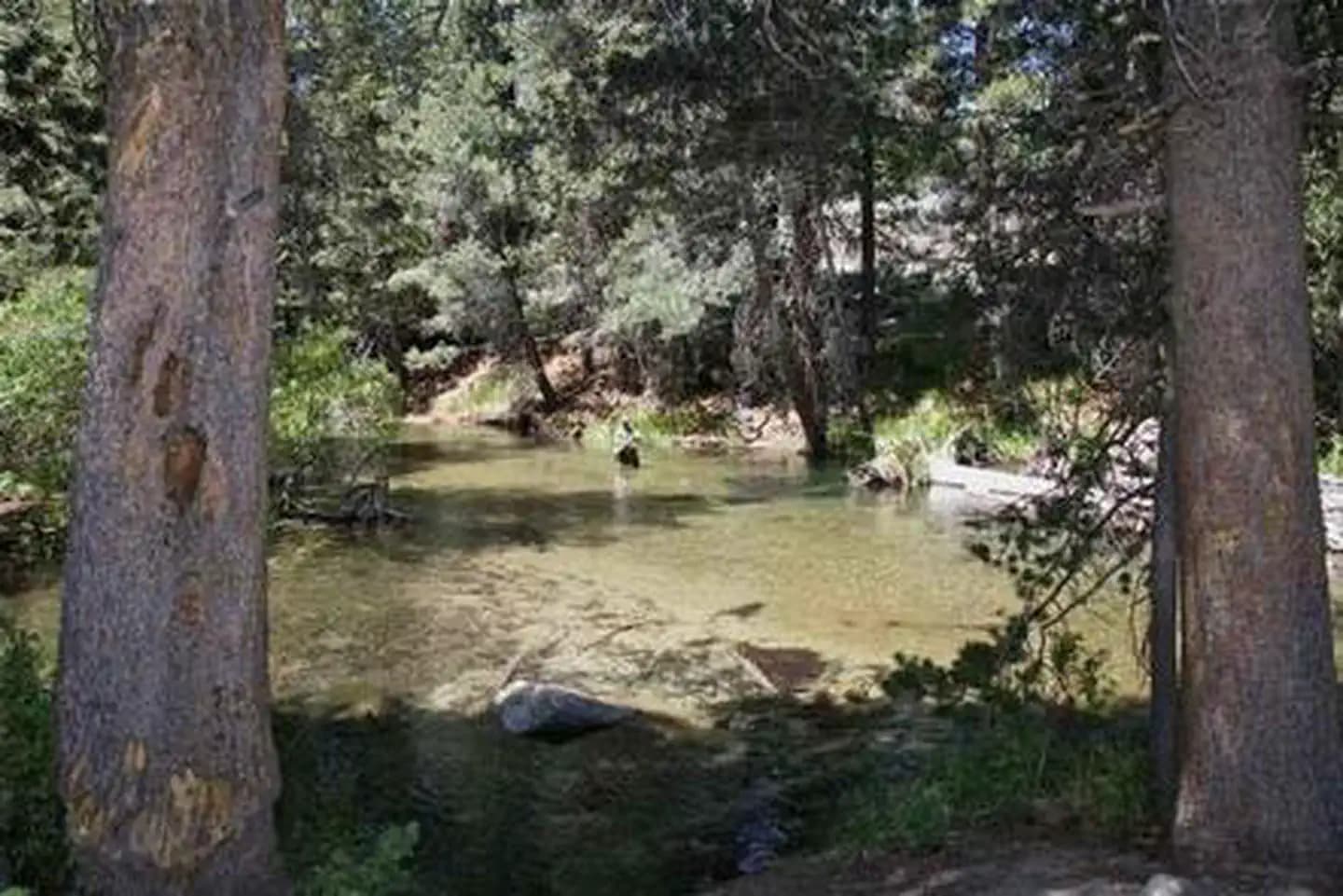 LOWER TWIN LAKES AT BRIDGEPORT campground in California