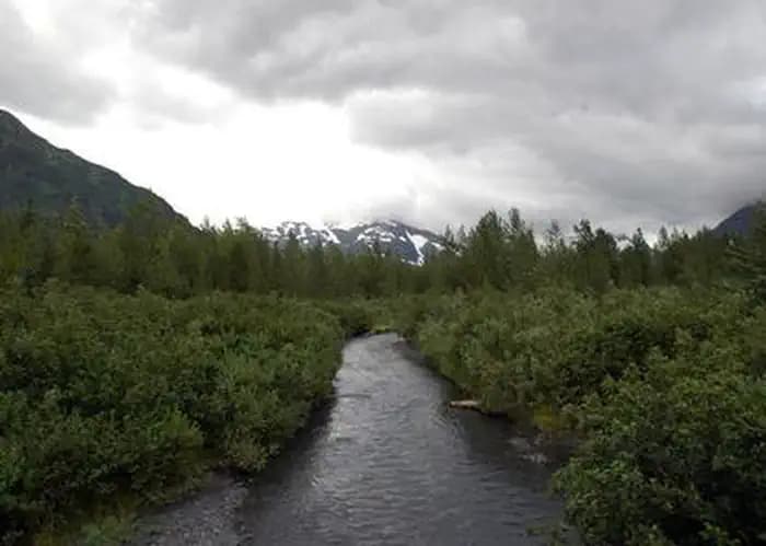 WILLIWAW CAMPGROUND campground in Alaska