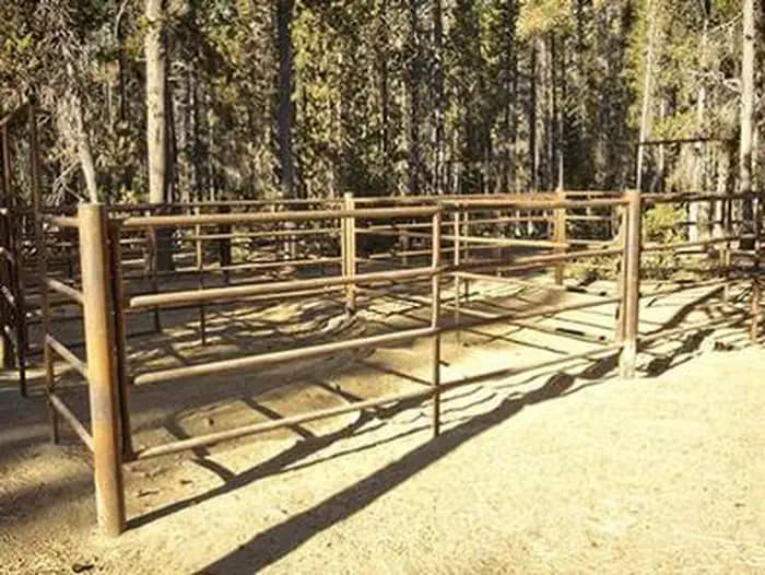 WHITEFISH HORSE CAMP campground in Oregon