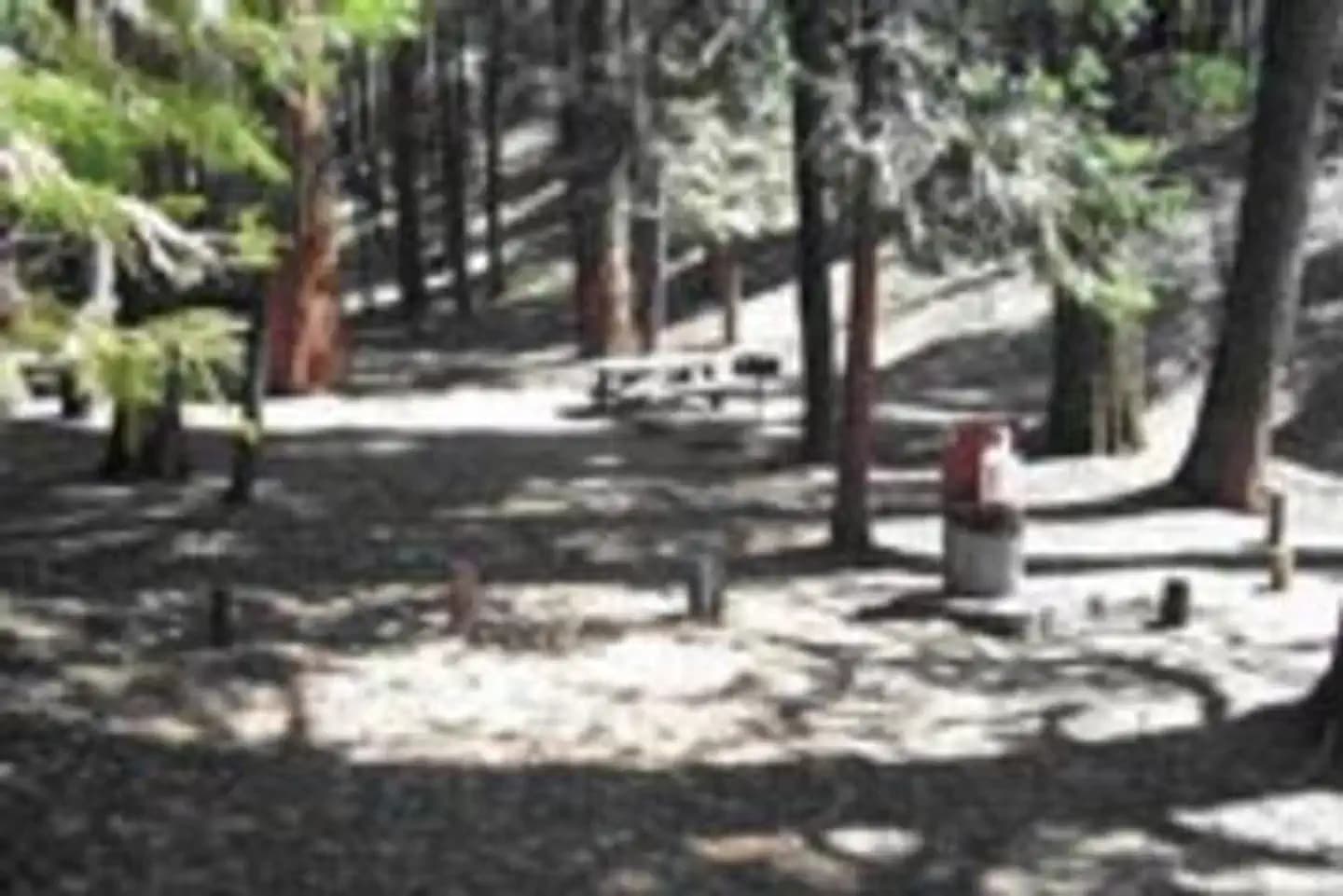 BELKNAP campground in California