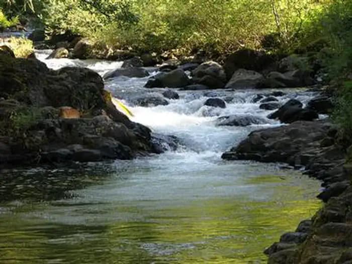 ROARING RIVER campground in Oregon