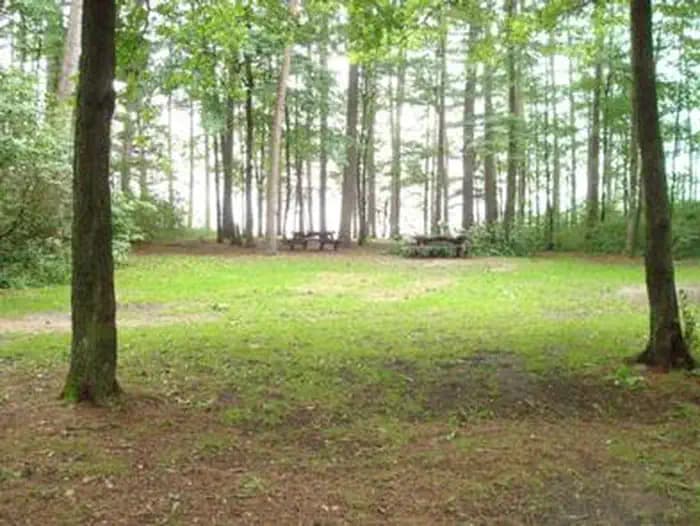 Winnie Campground - USFS campground in Minnesota
