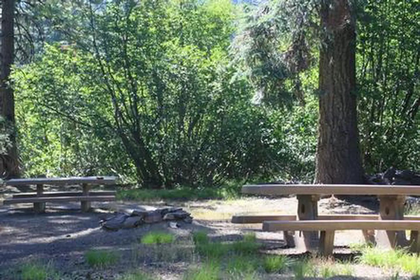 MASTERSON GROUP CAMPGROUND campground in California