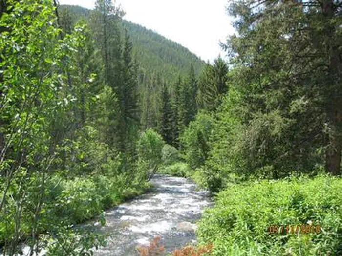 SWAN CREEK CAMPGROUND campground in US