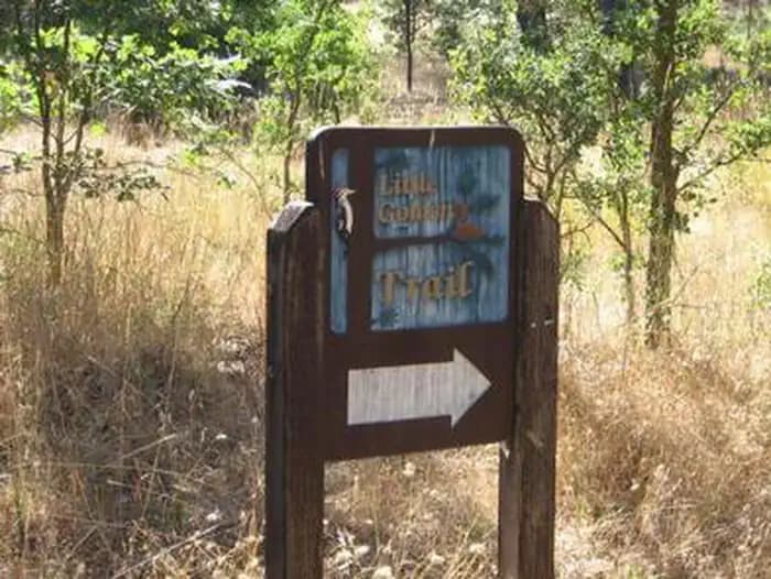 PINES GROUP STANISLAUS campground in California