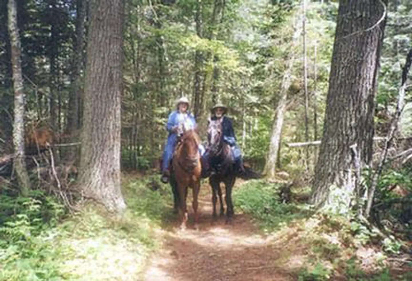 CUT FOOT HORSE CAMPGROUND campground in Minnesota