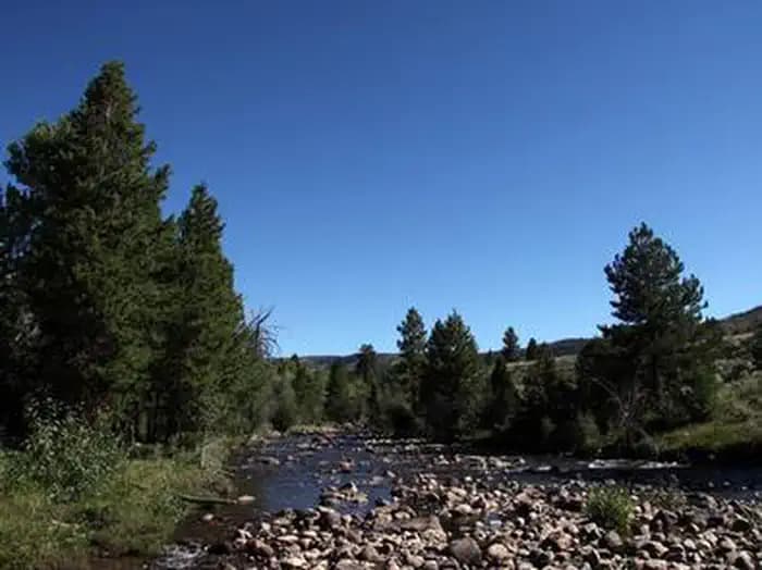 YELLOWSTONE GROUP CAMPGROUND campground in Utah