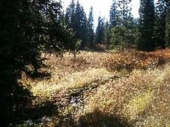 EMIGRATION CAMPGROUND campground in Idaho