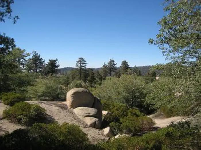 SHADY COVE GROUP CAMPGROUND campground in California