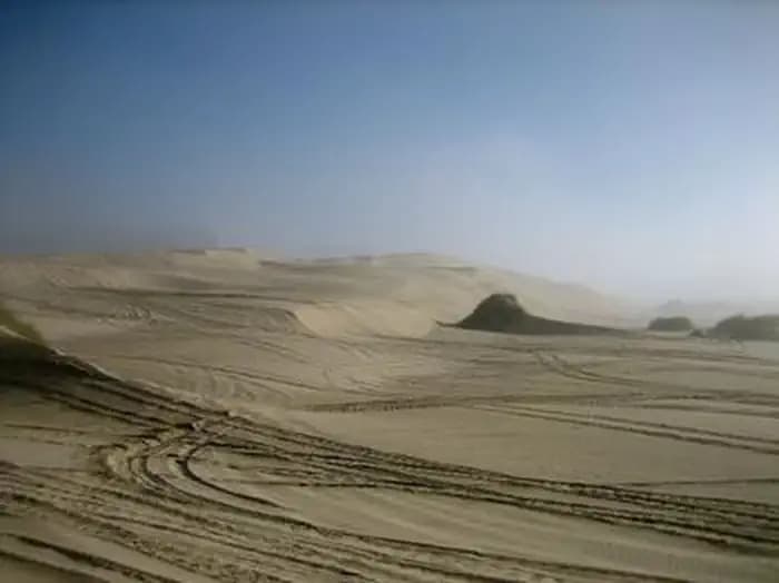 SOUTH JETTY SAND CAMPING campground in Oregon