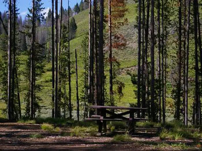 BONANZA CCC GROUP CAMPGROUND campground in Idaho