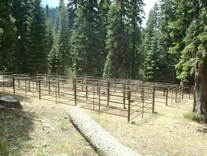 CARTER MEADOWS HORSE GROUP campground in California
