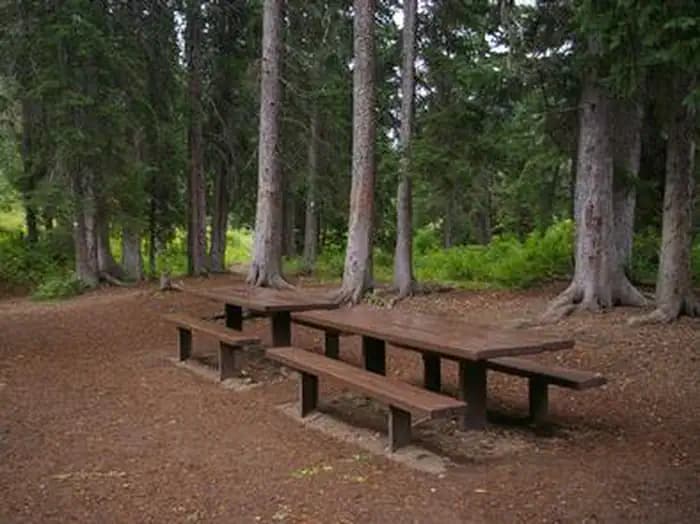 COTTONWOOD GROUP CAMPSITE campground in Wyoming