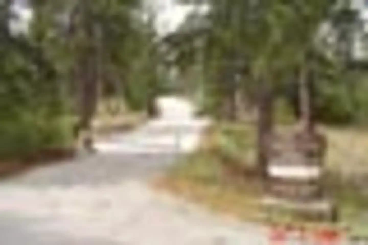 LIGHTNING POINT GROUP CAMPGROUND campground in California