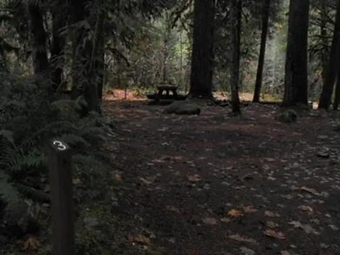 FRENCH PETE CAMPGROUND campground in Oregon