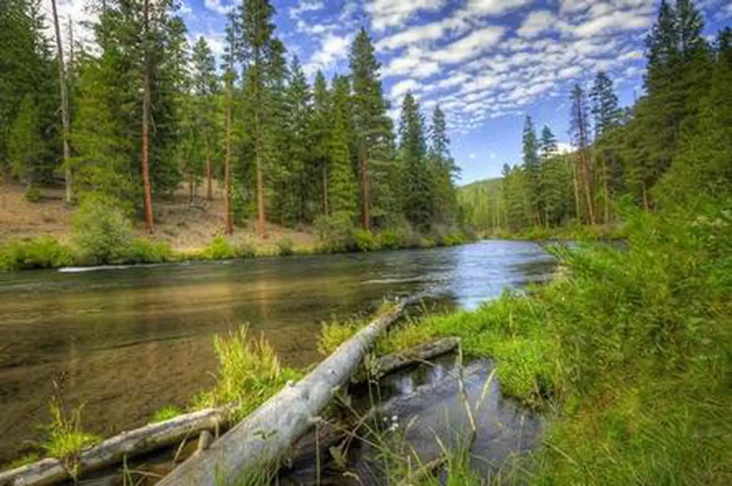 Pioneer Ford Campground campground in Oregon