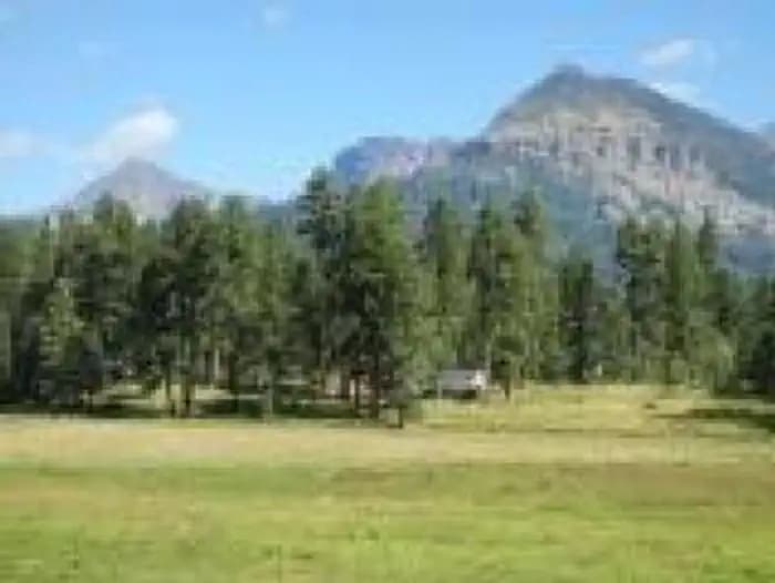 WILLIAMS CREEK CAMPGROUND campground in Colorado