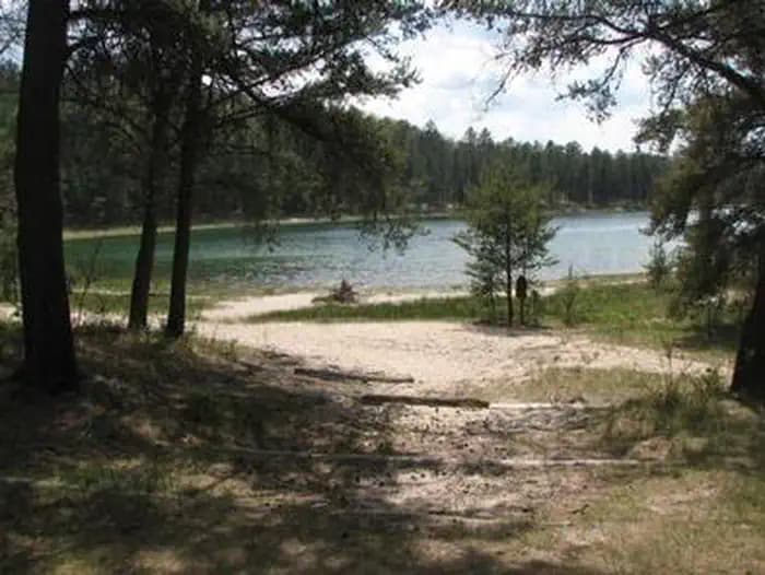 CHIMNEY LOOP CAMPGROUND campground in Michigan