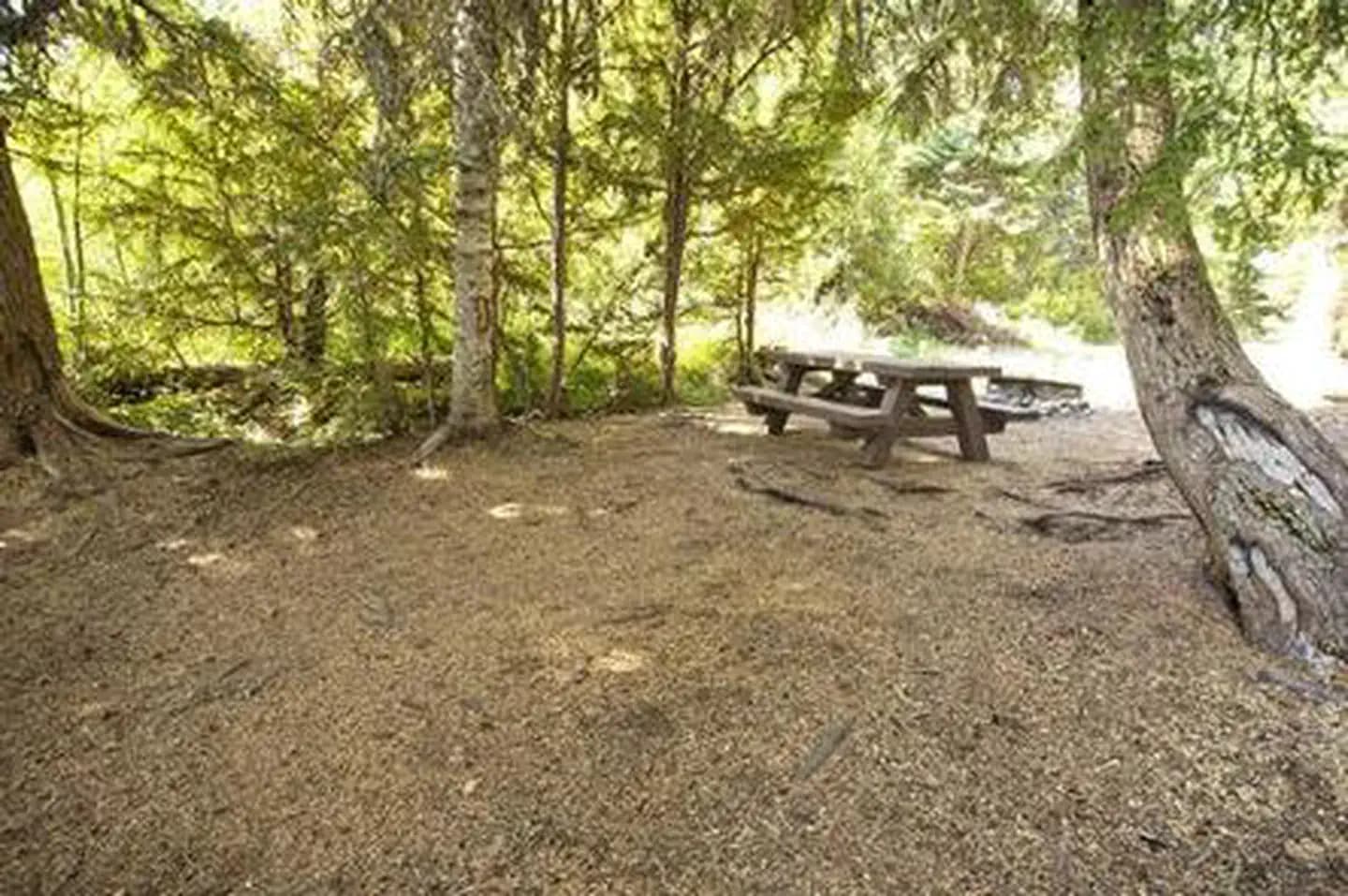 PRINCESS CREEK CAMPGROUND campground in Oregon