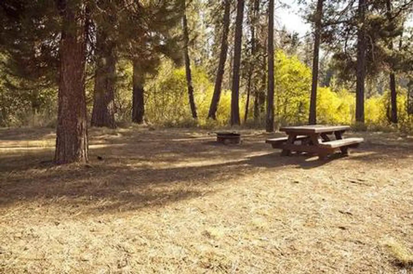 CRESCENT CREEK CAMPGROUND campground in Oregon