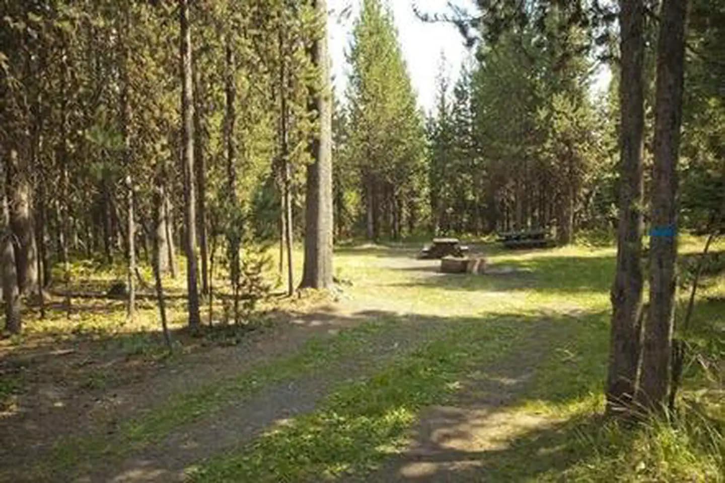 COW MEADOW CAMPGROUND campground in Oregon