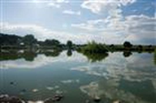 St Vrain State Park Campground in Colorado