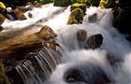 Paonia State Park Campground in Colorado