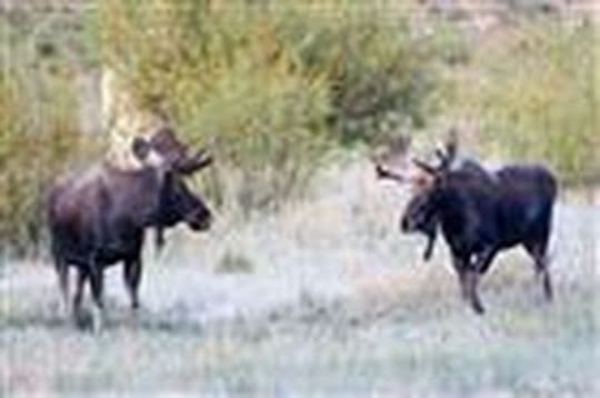 State Forest State Park Campground in Colorado
