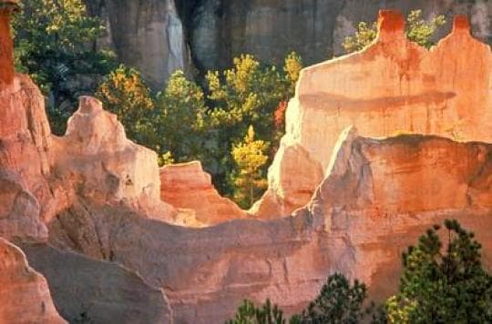 Providence Canyon State Park Campground in Georgia